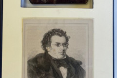 OA176-Franz-Schuberts-Spectacles